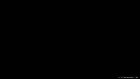 20041